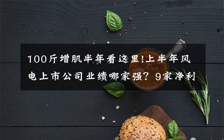100斤增肌半年看这里!上半年风电上市公司业绩哪家强?9家净利增速翻倍,最高暴增585%