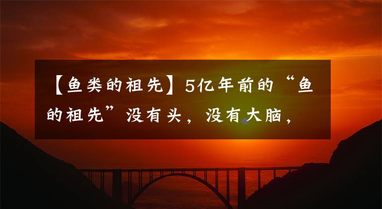 【鱼类的祖先】5亿年前的“鱼的祖先”没有头，没有大脑，没有心，没有肺，没有耳朵