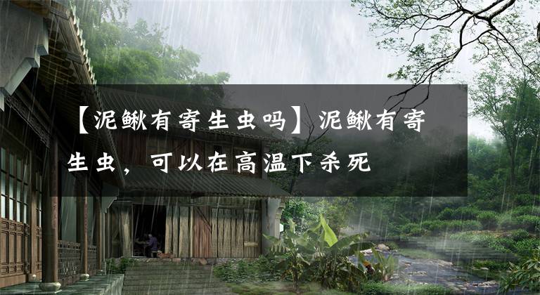 【泥鳅有寄生虫吗】泥鳅有寄生虫，可以在高温下杀死