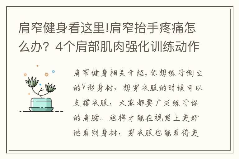 肩窄健身看这里!肩窄抬手疼痛怎么办?4个肩部肌肉强化训练动作,保护关节还宽肩