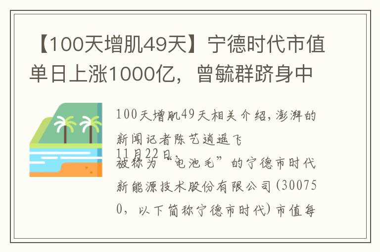 【100天增肌49天】宁德时代市值单日上涨1000亿,曾毓群跻身中国第二大富豪