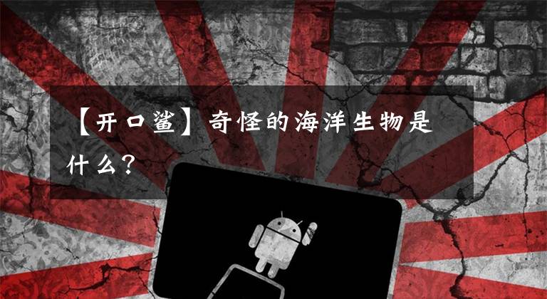 【开口鲨】奇怪的海洋生物是什么？