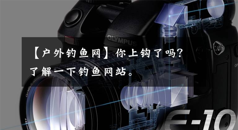 【户外钓鱼网】你上钩了吗？了解一下钓鱼网站。