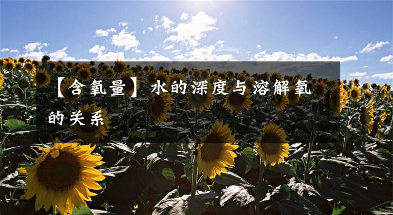 【含氧量】水的深度与溶解氧的关系