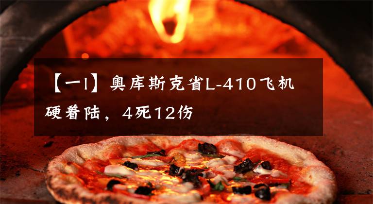 【一l】奥库斯克省L-410飞机硬着陆,4死12伤