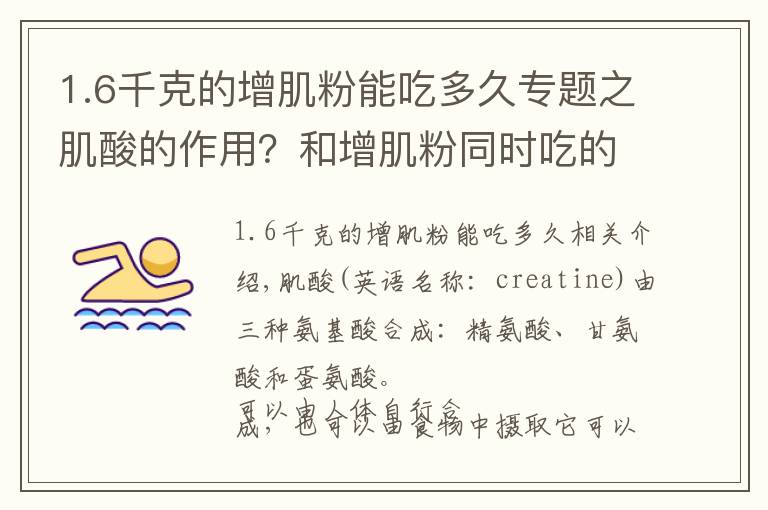 1.6千克的增肌粉能吃多久专题之肌酸的作用?和增肌粉同时吃的话,具体怎么吃?