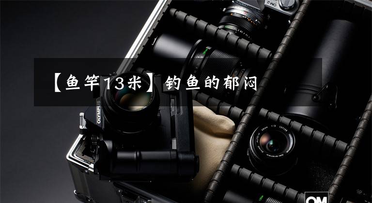 【鱼竿13米】钓鱼的郁闷