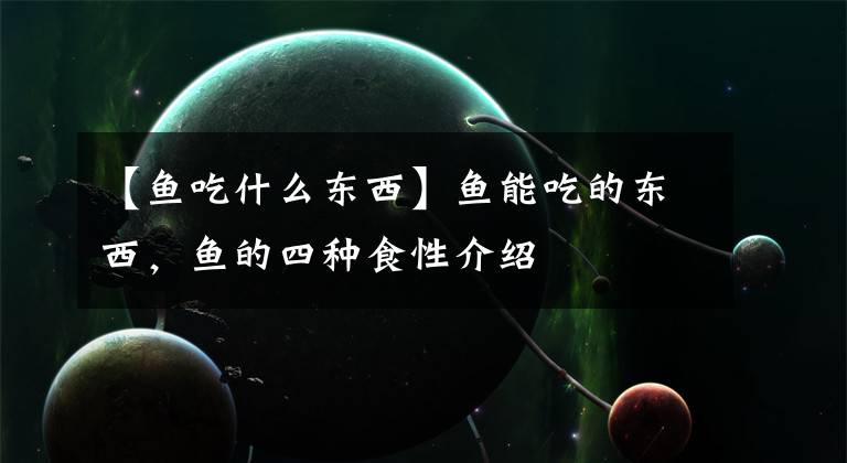 【鱼吃什么东西】鱼能吃的东西,鱼的四种食性介绍