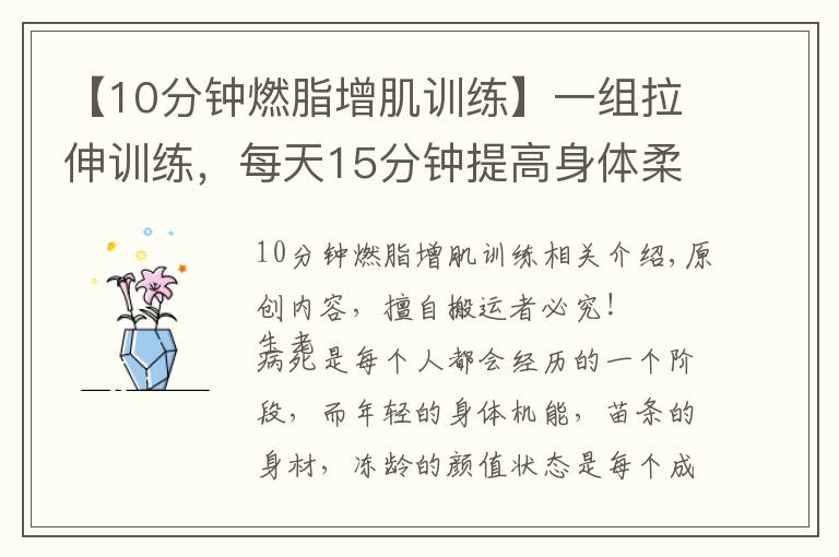 【10分钟燃脂增肌训练】一组拉伸训练,每天15分钟提高身体柔软度,远离亚健康疾病
