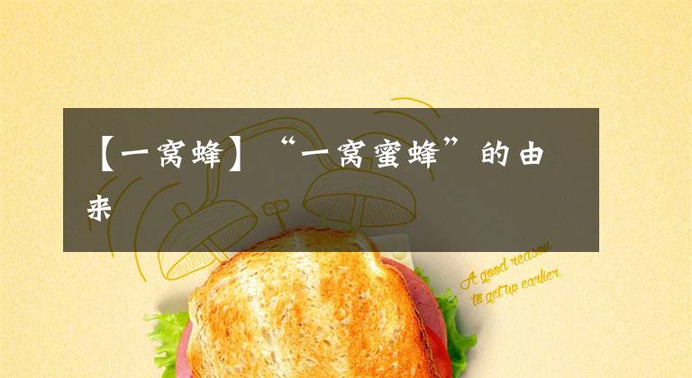 【一窝蜂】“一窝蜜蜂”的由来