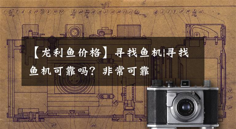 【龙利鱼价格】寻找鱼机|寻找鱼机可靠吗？非常可靠