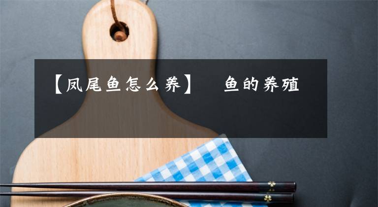 【凤尾鱼怎么养】鳀鱼的养殖