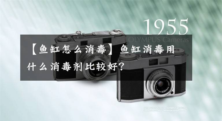 【鱼缸怎么消毒】鱼缸消毒用什么消毒剂比较好？