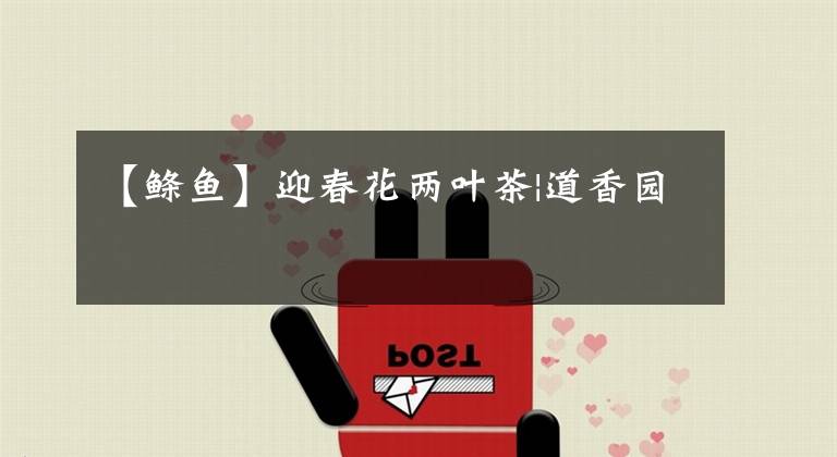 【鲦鱼】迎春花两叶茶|道香园