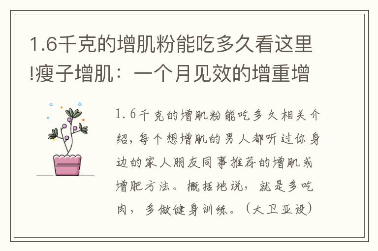 1.6千克的增肌粉能吃多久看这里!瘦子增肌:一个月见效的增重增肌计划