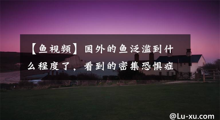 【鱼视频】国外的鱼泛滥到什么程度了,看到的密集恐惧症犯了。