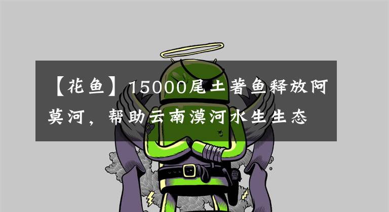 【花鱼】15000尾土著鱼释放阿莫河,帮助云南漠河水生生态恢复。