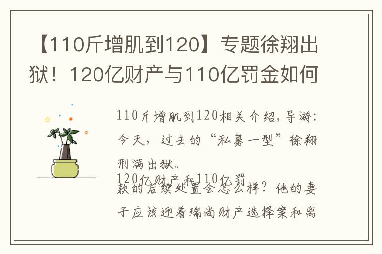 【110斤增肌到120】专题徐翔出狱!120亿财产与110亿罚金如何处置?“泽熙系”可有明天?