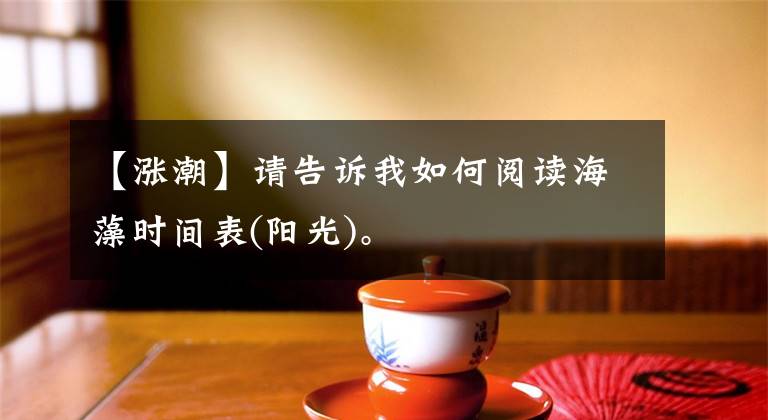 【涨潮】请告诉我如何阅读海藻时间表(阳光)。