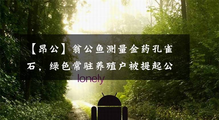 【昂公】翁公鱼测量金药孔雀石,绿色常驻养殖户被提起公诉。