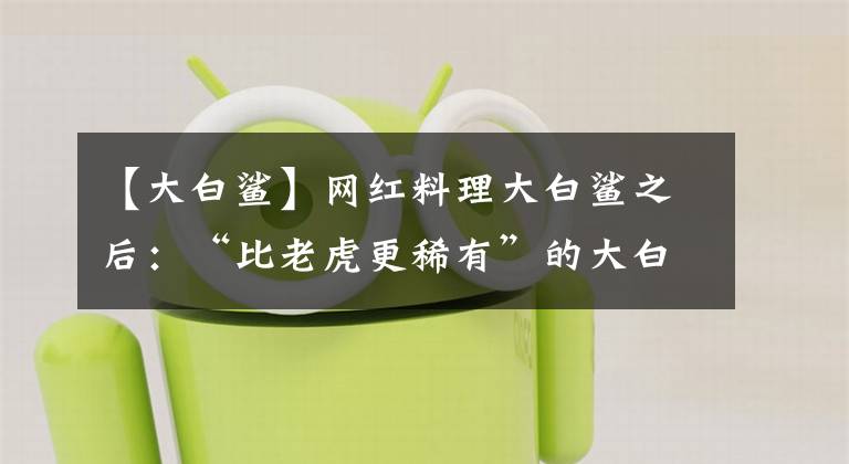 【大白鲨】网红料理大白鲨之后:“比老虎更稀有”的大白鲨来自哪里?