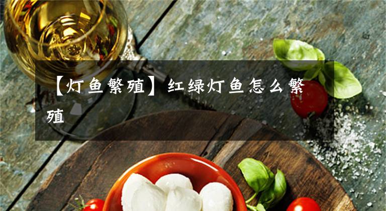 【灯鱼繁殖】红绿灯鱼怎么繁殖