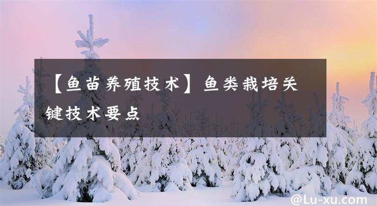【鱼苗养殖技术】鱼类栽培关键技术要点