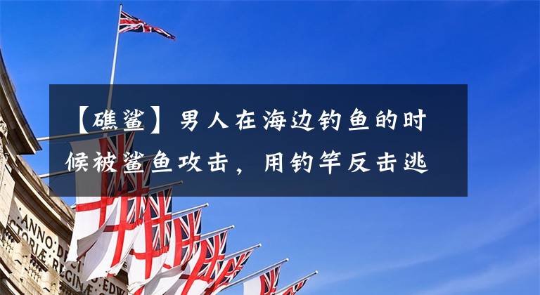 【礁鲨】男人在海边钓鱼的时候被鲨鱼攻击,用钓竿反击逃跑了