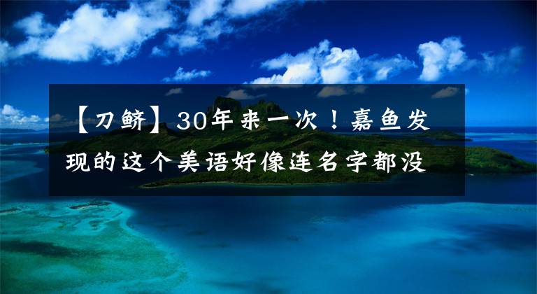 【刀鲚】30年来一次!嘉鱼发现的这个美语好像连名字都没听过。