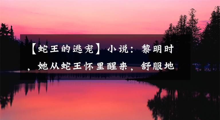 【蛇王的逃宠】小说:黎明时,她从蛇王怀里醒来,舒服地揉了揉,他温柔地笑了笑。又惹到我了