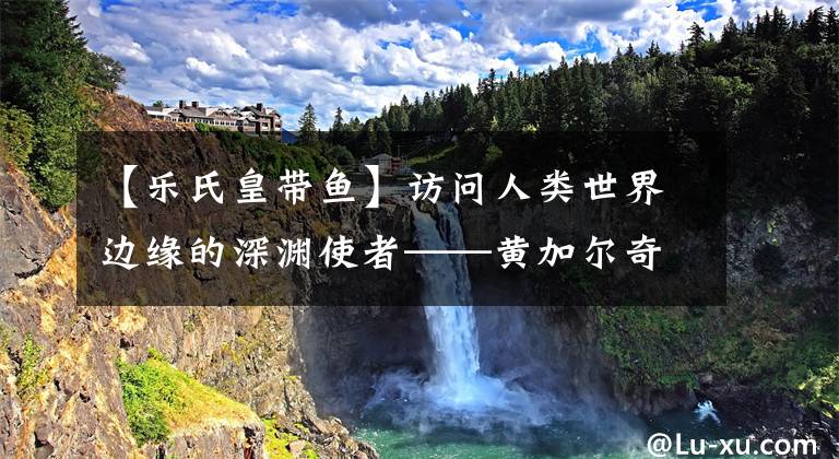 【乐氏皇带鱼】访问人类世界边缘的深渊使者——黄加尔奇