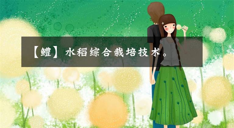 【鳢】水稻综合栽培技术。