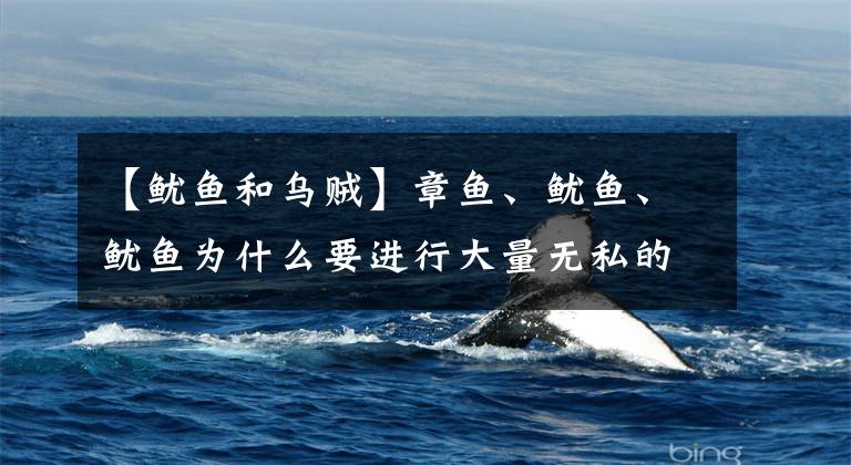 【鱿鱼和乌贼】章鱼、鱿鱼、鱿鱼为什么要进行大量无私的RNA编辑？