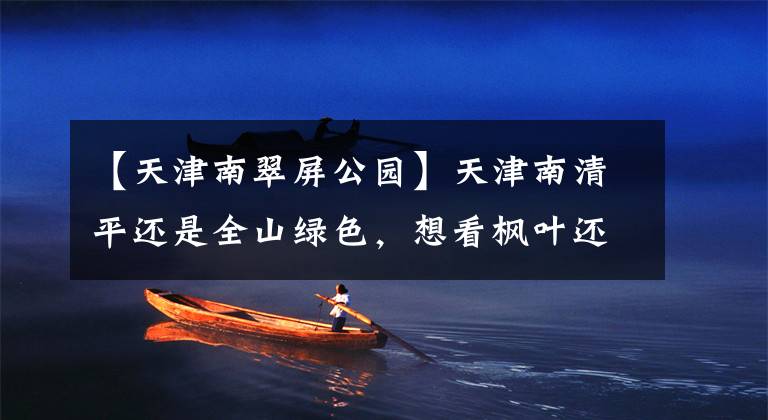 【天津南翠屏公园】天津南清平还是全山绿色,想看枫叶还是等着吧。