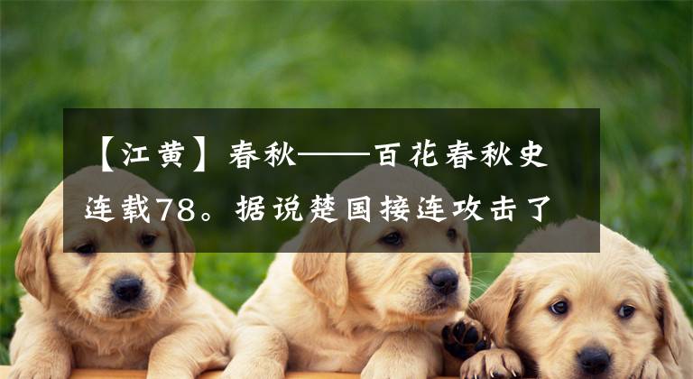 【江黄】春秋——百花春秋史连载78。据说楚国接连攻击了政局