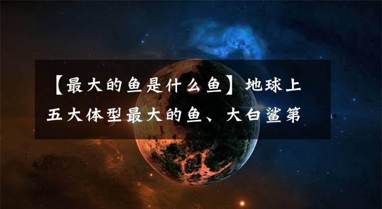 【最大的鱼是什么鱼】地球上五大体型最大的鱼、大白鲨第三名、鲸鲨第一名濒临灭绝