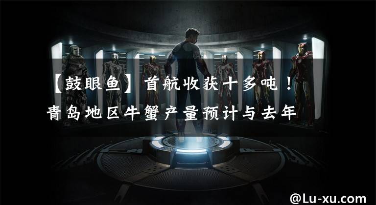 【鼓眼鱼】首航收获十多吨!青岛地区牛蟹产量预计与去年持平,批发价格为50 ~ 150元