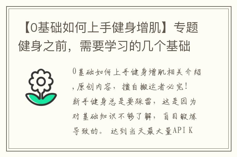 【0基础如何上手健身增肌】专题健身之前,需要学习的几个基础知识,让你更加高效地锻炼