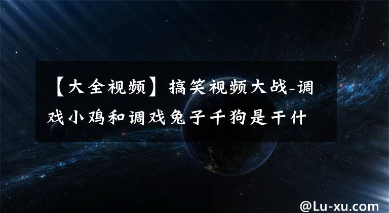 【大全视频】搞笑视频大战-调戏小鸡和调戏兔子千狗是干什么的？