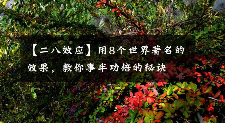 【二八效应】用8个世界著名的效果，教你事半功倍的秘诀