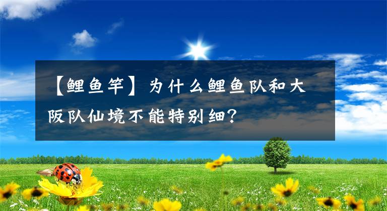 【鲤鱼竿】为什么鲤鱼队和大阪队仙境不能特别细?