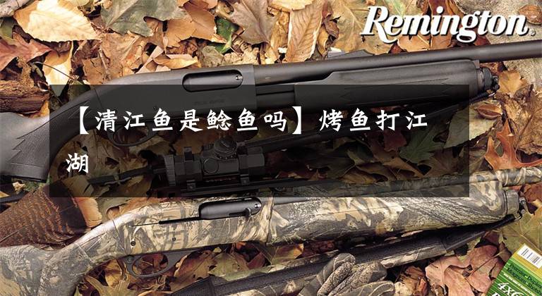 【清江鱼是鲶鱼吗】烤鱼打江湖