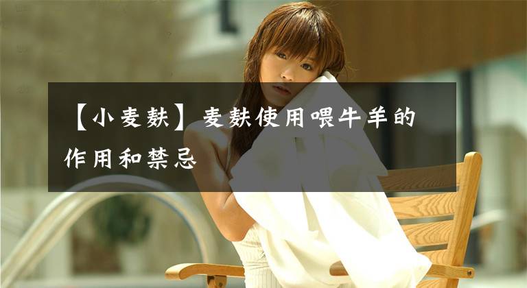 【小麦麸】麦麸使用喂牛羊的作用和禁忌