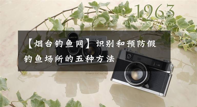 【烟台钓鱼网】识别和预防假钓鱼场所的五种方法