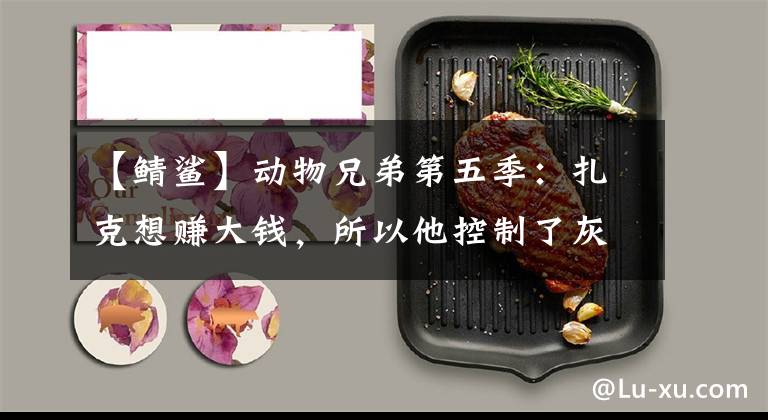 【鲭鲨】动物兄弟第五季:扎克想赚大钱,所以他控制了灰鲭鱼鲨鱼,让它们在海里捕鱼。