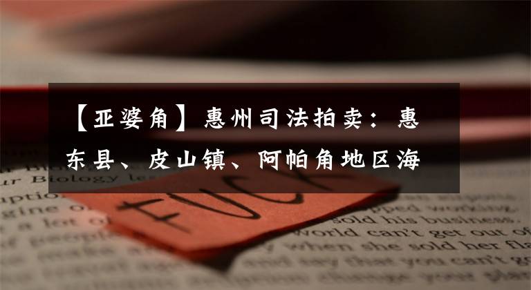 【亚婆角】惠州司法拍卖:惠东县、皮山镇、阿帕角地区海都浦院33号楼2段20楼06号房。