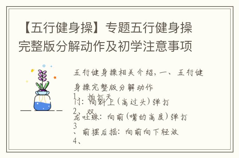 【五行健身操】专题五行健身操完整版分解动作及初学注意事项