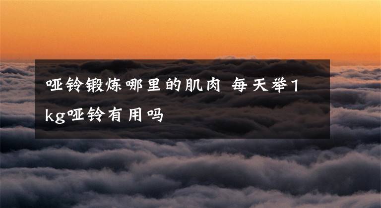 哑铃锻炼哪里的肌肉 每天举1kg哑铃有用吗