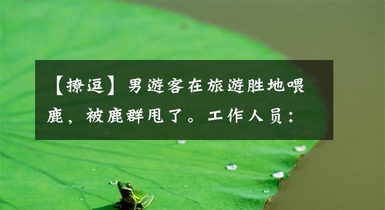 【撩逗】男游客在旅游胜地喂鹿,被鹿群甩了。工作人员:正在发情期,建议不要取笑。