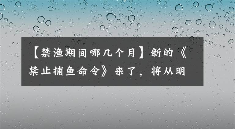【禁渔期间哪几个月】新的《禁止捕鱼命令》来了,将从明年1月1日开始实施